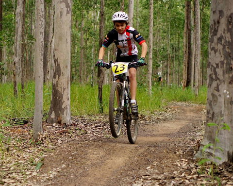 Bom Bom State Forest Mountain Bike Trails - Accommodation BNB 1