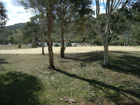 Bombala Platypus Reserve - Accommodation BNB 0