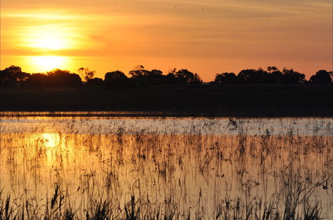 Bool Lagoon Game Reserve And Hacks Lagoon Conservation Park - Accommodation BNB 0