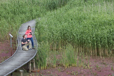 Bool Lagoon Game Reserve And Hacks Lagoon Conservation Park - Accommodation BNB 2