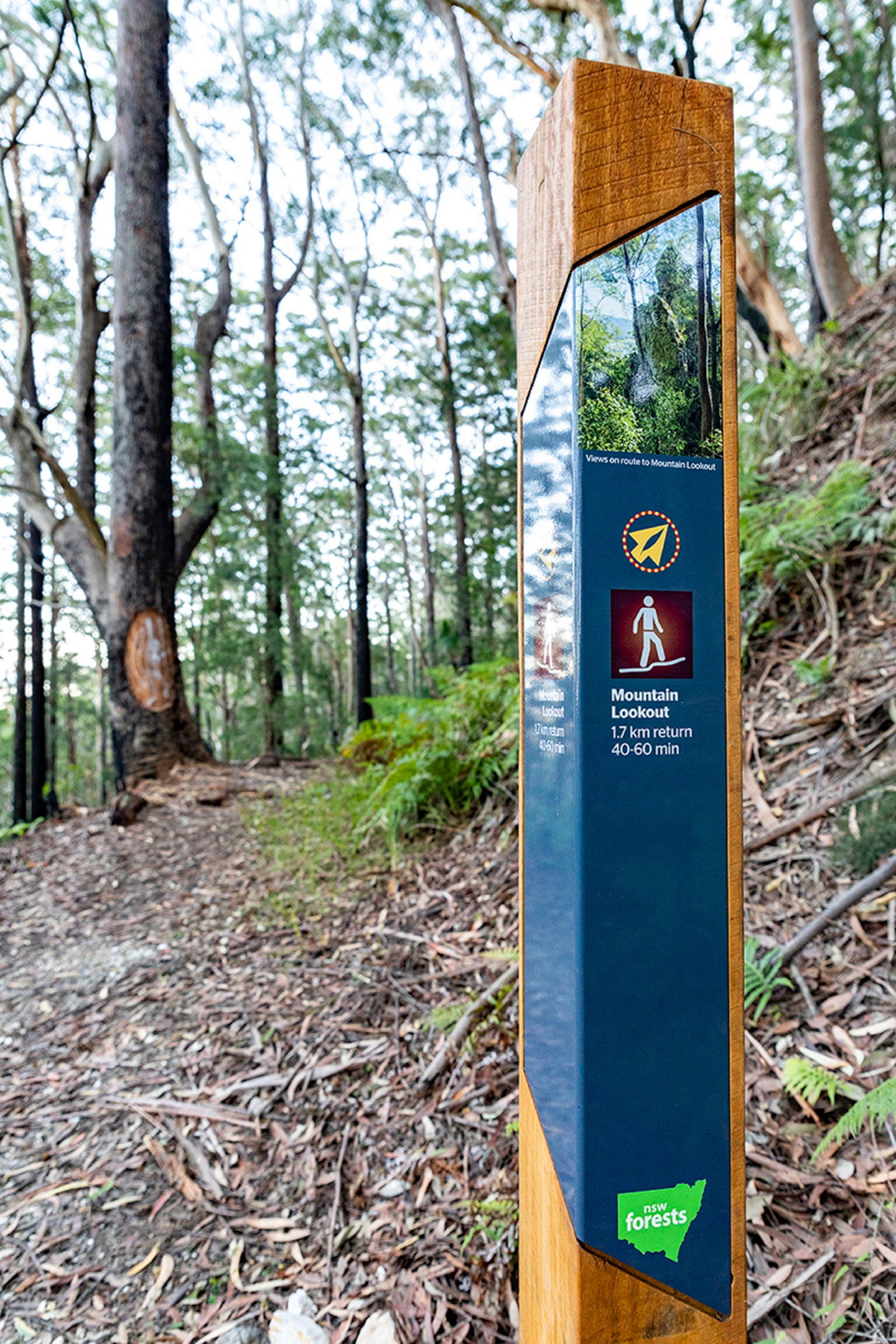 Monkerai Valley NSW Accommodation BNB