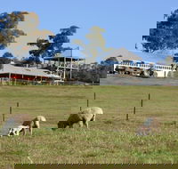 Calmsley Hill City Farm - Accommodation BNB