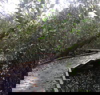 Carole Green Walkway - John Oxley Reserve - Accommodation BNB