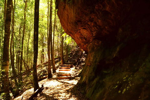 Cave Creek Walking Track - Accommodation BNB 1