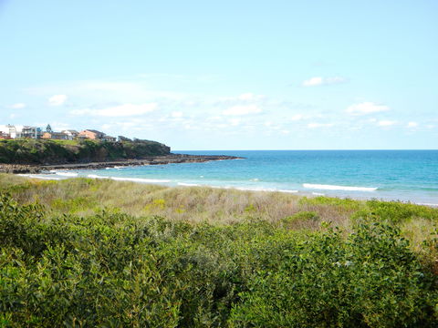Culburra Surf Beach - Accommodation BNB 2