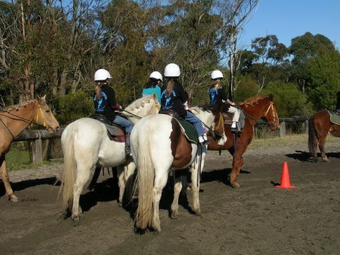 Darkes Forest Riding Ranch - Accommodation BNB 1