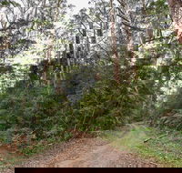 End Peak walking track - Accommodation BNB