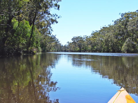 Esk River - Accommodation BNB 0