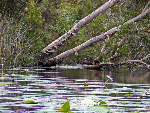 Esk River - Accommodation BNB 1