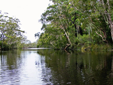 Esk River - Accommodation BNB 2