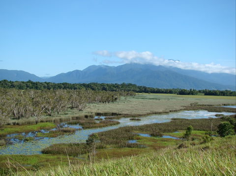 Eubenangee Swamp National Park - Accommodation BNB 0