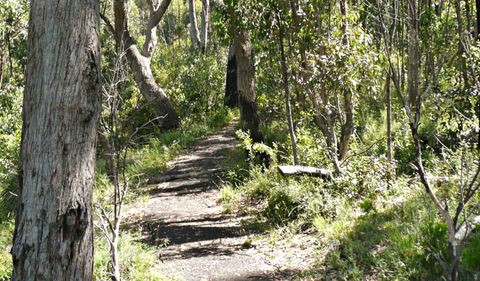 Euglah Rock Walking Track - Accommodation BNB 0