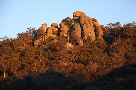 Evans Crown Nature Reserve - Accommodation BNB 0
