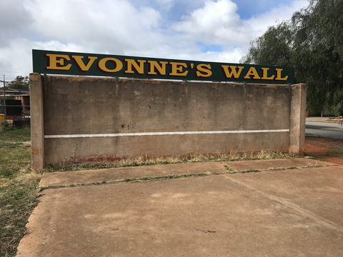 Evonne Goolagong-Cawley Wall - Accommodation BNB 1