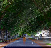 Fig Tree Avenue - Accommodation BNB