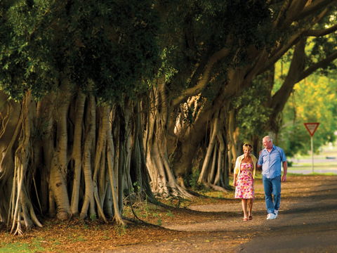 Fig Tree Avenue - Accommodation BNB 1