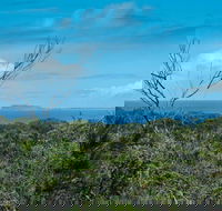 Forest Walking Track Crowdy Bay National Park - Accommodation BNB