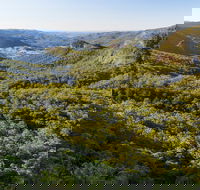 Gold Coast Hinterland Great Walk - Accommodation BNB