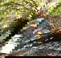 Haig Street Quarry Bushland Reserve Trails - Accommodation BNB