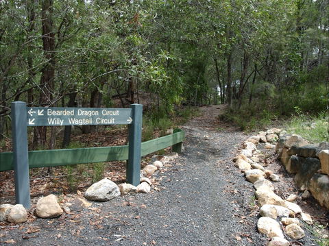 Haig Street Quarry Bushland Reserve Trails - Accommodation BNB 1