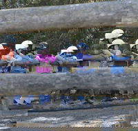 Harlow Park Horse Riding - Accommodation BNB