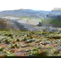 Horseshoe Rim 4WD Adventure Track - Accommodation BNB