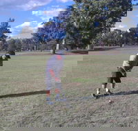 Inverell Golf Club - Accommodation BNB