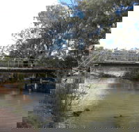Junction Island Nature Reserve Canoe Tree and Walking Track - Accommodation BNB