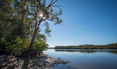 Karuah River National Park And Nature Reserve - Accommodation BNB 0