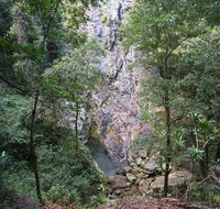 Kondalilla Falls Circuit Kondalilla National Park - Accommodation BNB