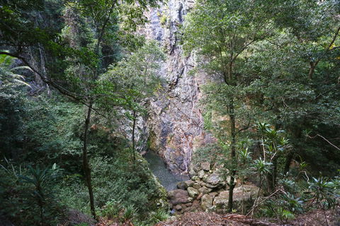 Kondalilla Falls Circuit, Kondalilla National Park - Accommodation BNB 0