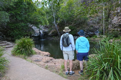 Kondalilla Falls Circuit, Kondalilla National Park - Accommodation BNB 1