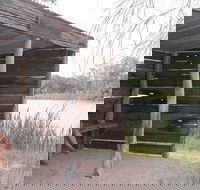 Martin Bend Wetland and Walking Trail - Accommodation BNB