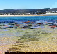 Merimbula Bar Beach - Accommodation BNB