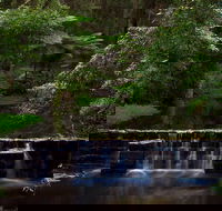 Millards Creek Walk and Cycleway - Accommodation BNB