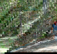 Monument Beach ride from Bendalong - Accommodation BNB