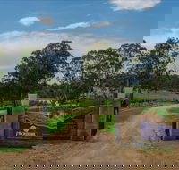 Moorebank Vineyard - Accommodation BNB