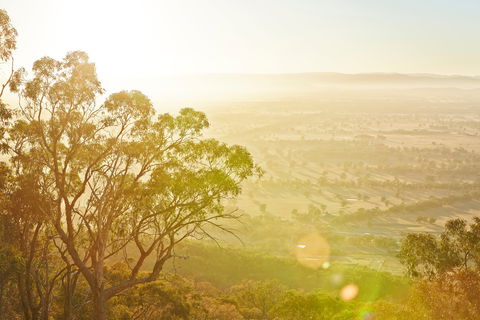 Mt Glenrowan Lookout Walk - Accommodation BNB 1