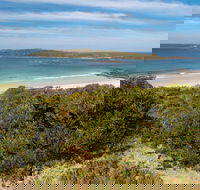 Murramarang Aboriginal Area - Accommodation BNB