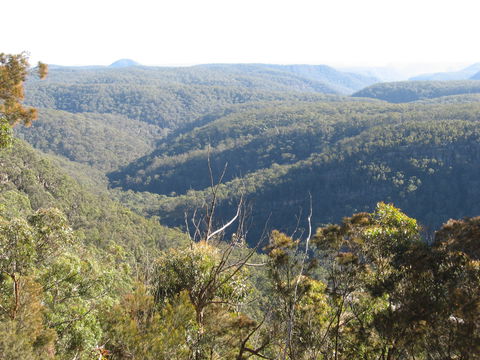 Nattai Gorge Lookout - Accommodation BNB 1