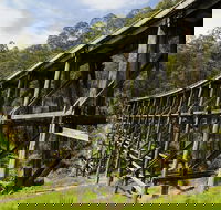 Noojee Trestle Bridge - Accommodation BNB