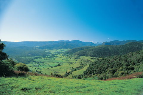 Numinbah Section, Springbrook National Park - Accommodation BNB 0
