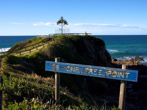 One Tree Point Lookout And Picnic Area - Accommodation BNB 0