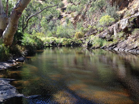 Onkaparinga River National Park - Accommodation BNB 2