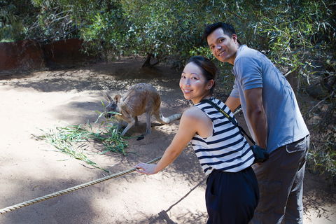 Perth Zoo - Accommodation BNB 2