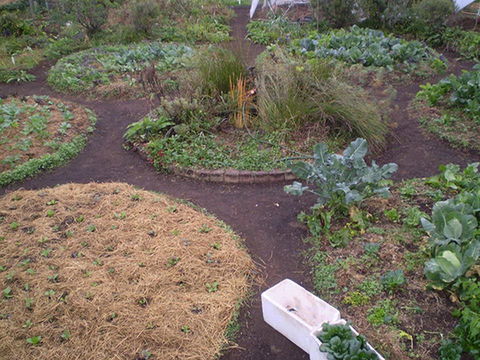 Purple Pear Farm - Accommodation BNB 1