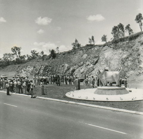 Rockhampton Bull Statues - Accommodation BNB 0