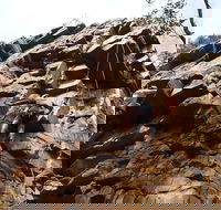 Rock Climbing in Morialta - Accommodation BNB