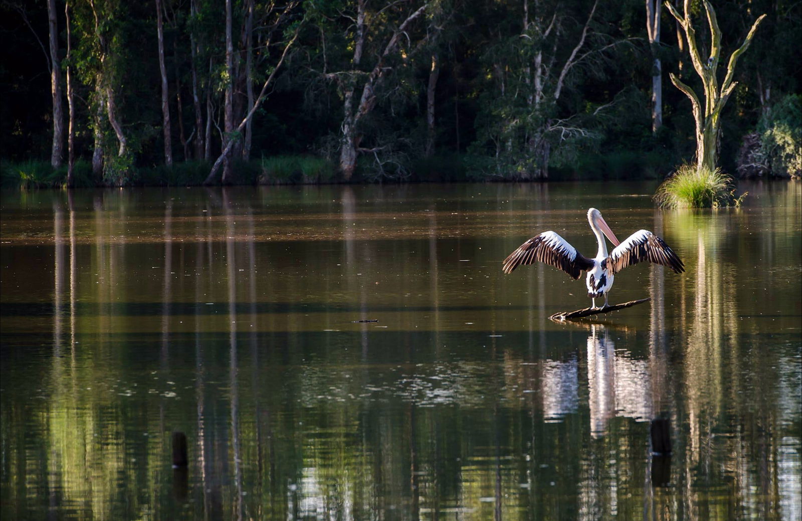 Seaham NSW Accommodation BNB