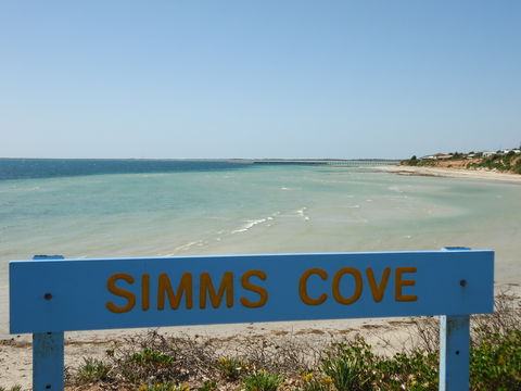 Simms Cove Lookout And Beach, Moonta Bay - Accommodation BNB 0